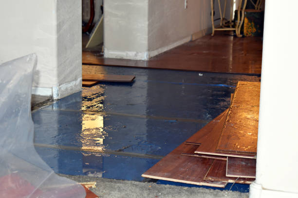 Professional Water Damage Restoration technician working in Holiday, FL